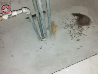全椒卫生间测漏水价格明细